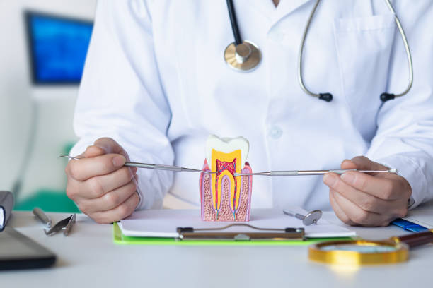 Best Urgent Care for Lost Fillings or Crowns in Woodville, AL